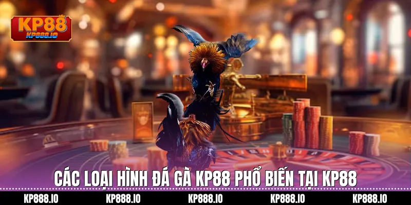 Các loại hình Đá Gà KP88 phổ biến tại Kp88