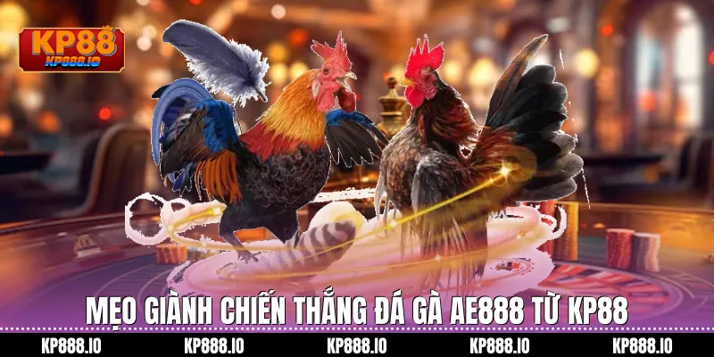 Mẹo giành chiến thắng Đá Gà AE888 từ Kp88